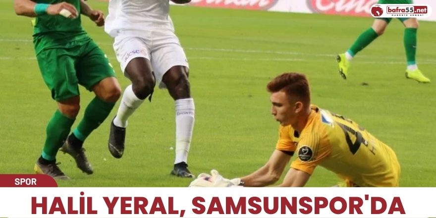 Halil Yeral, Samsunspor'da