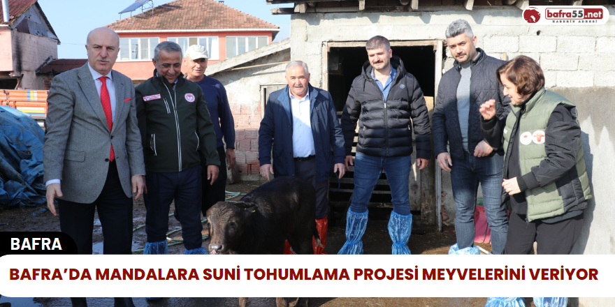 Samsun’da Mandalara Suni Tohumlama Projesi Meyvelerini Veriyor