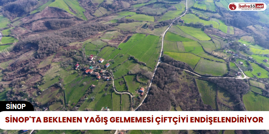 Sinop'ta Beklenen Yağış Gelmemesi Çiftçiyi Endişelendiriyor