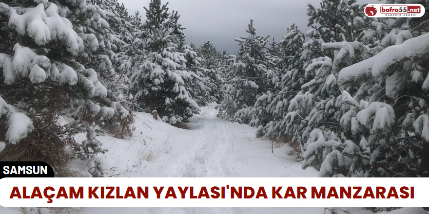 Alaçam Kızlan Yaylası'nda Kar Manzarası