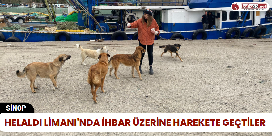 Helaldı Limanı'nda İhbar Üzerine Harekete Geçtiler