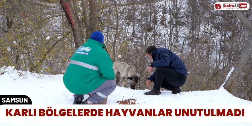 Karlı Bölgelerde Hayvanlar Unutulmadı