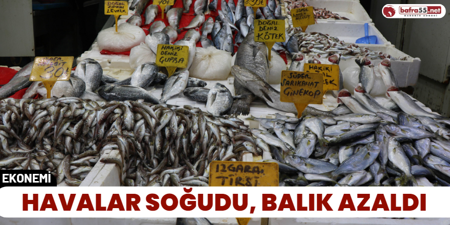 Havalar Soğudu, Balık Azaldı