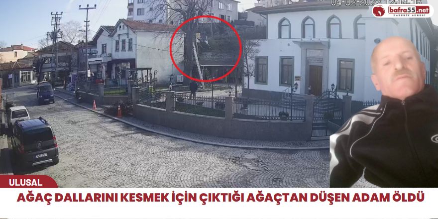 Ağaç dallarını kesmek için çıktığı ağaçtan düşen adam öldü