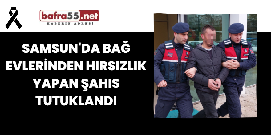 Samsun'da Bağ Evlerinden Hırsızlık Yapan Şahıs Tutuklandı