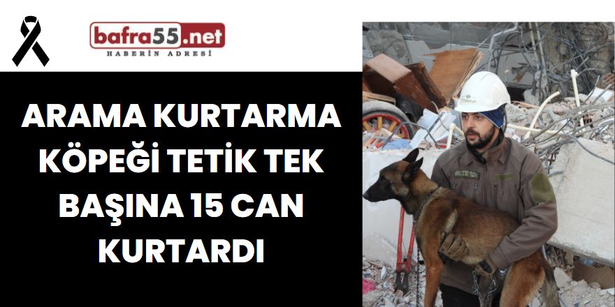 Arama kurtarma köpeği Tetik tek başına 15 can kurtardı