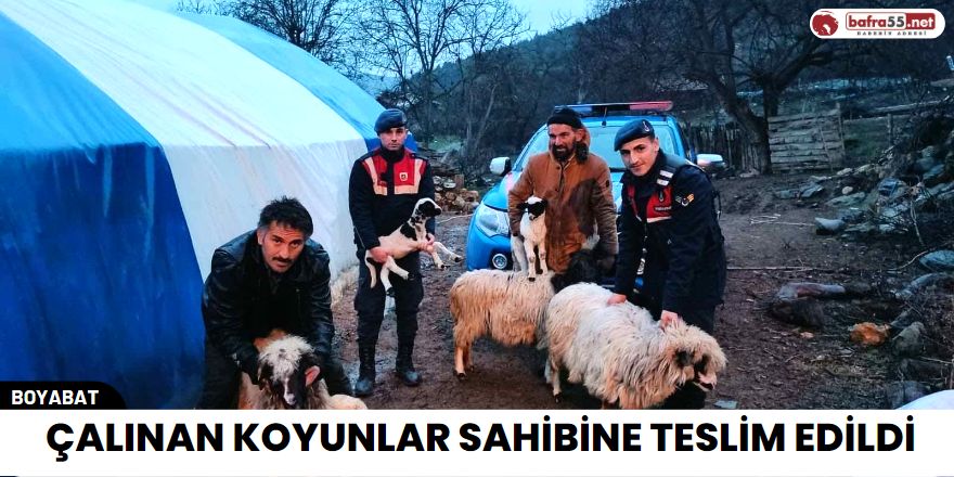 Çalınan Koyunlar Sahibine Teslim Edildi