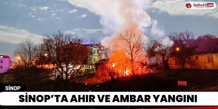 Sinop’ta Ahır ve Ambar Yangını