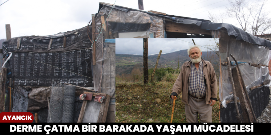 Derme Çatma Bir Barakada Yaşam Mücadelesi