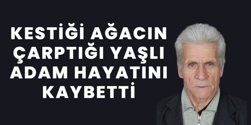 Kestiği ağacın çarptığı yaşlı adam hayatını kaybetti