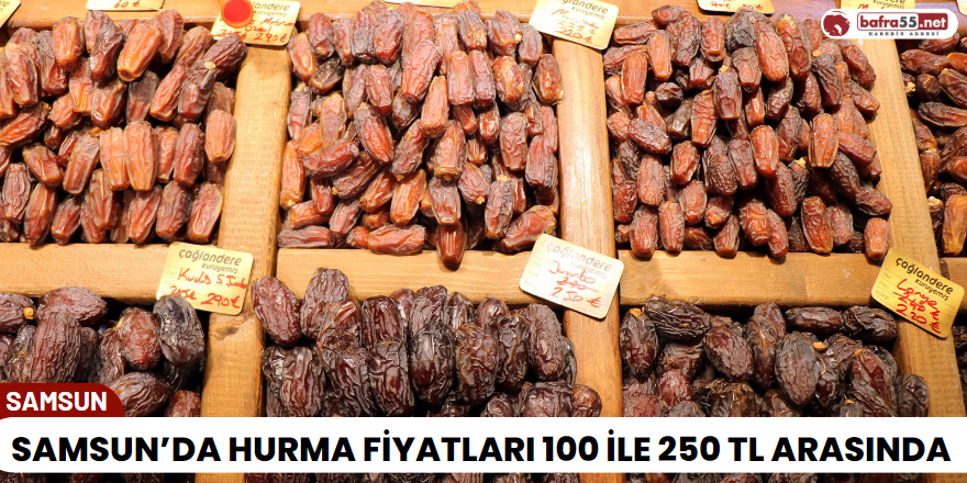 Samsun’da hurma fiyatları 100 TL ile 250 TL arasında
