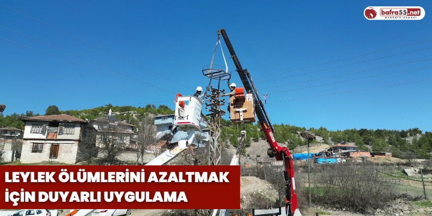 Leylek Ölümlerini Azaltmak İçin Duyarlı Uygulama