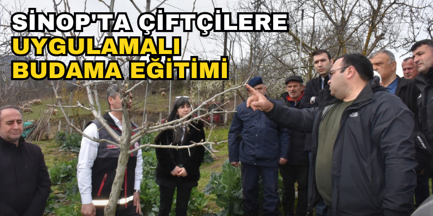 Sinop'ta Çiftçilere Uygulamalı Budama Eğitimi