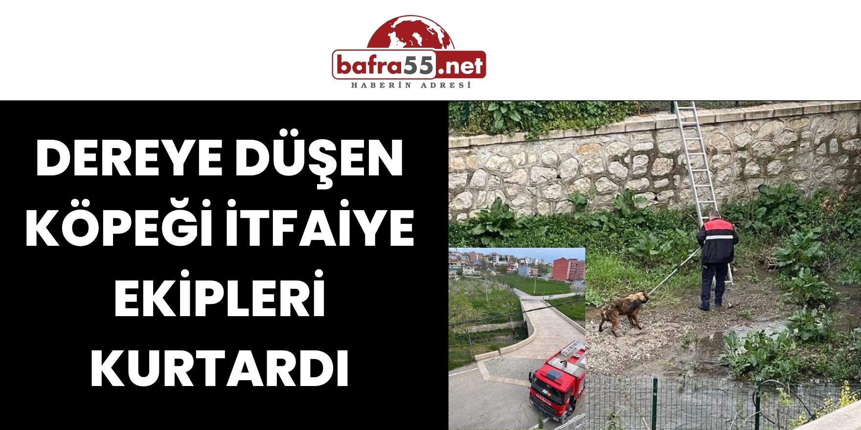 Dereye Düşen Köpeği İtfaiye Ekipleri Kurtardı