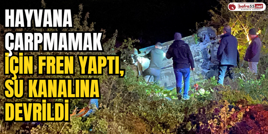 Hayvana Çarpmamak İçin Fren Yaptı, Su Kanalına Devrildi