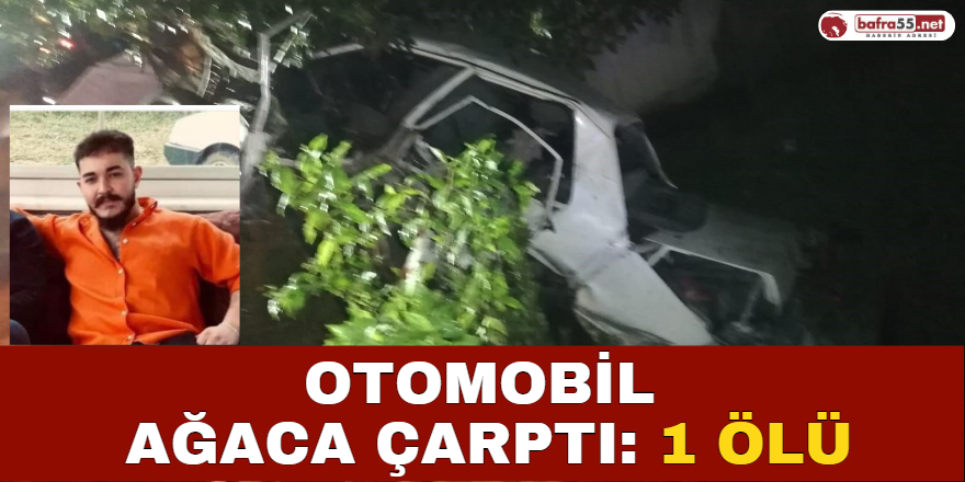 Otomobil Ağaca Çarptı: 1 Ölü