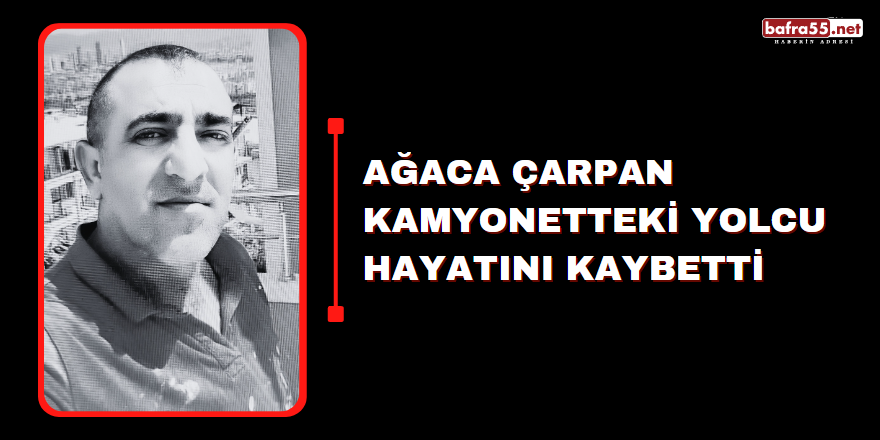 Ağaca çarpan kamyonetteki yolcu hayatını kaybetti