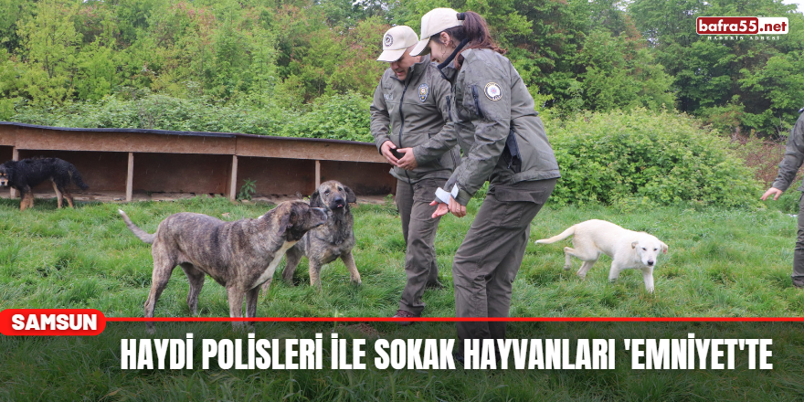 HAYDİ Polisleri İle Sokak Hayvanları 'Emniyet'te