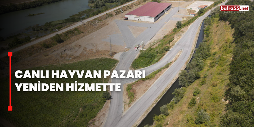 CANLI HAYVAN PAZARI YENİDEN HİZMETTE