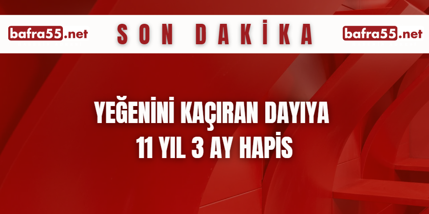 Yeğenini kaçıran dayıya 11 yıl 3 ay hapis