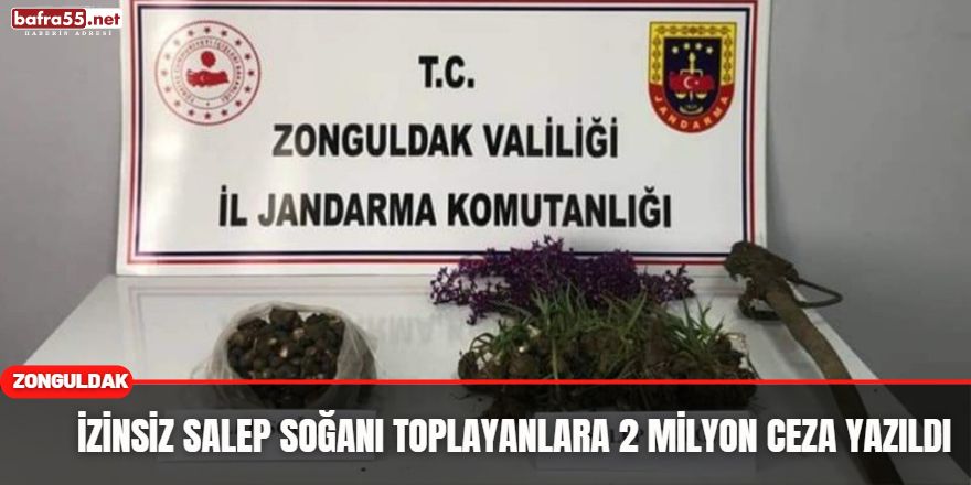 İzinsiz Salep Soğanı Toplayanlara 2 Milyon Ceza Yazıldı