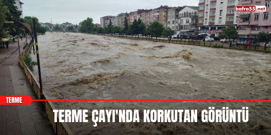 Terme Çayı'nda korkutan görüntü