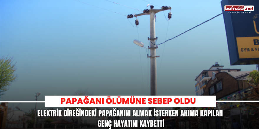 Elektrik direğindeki papağanını almak isterken akıma kapılan genç hayatını kaybetti