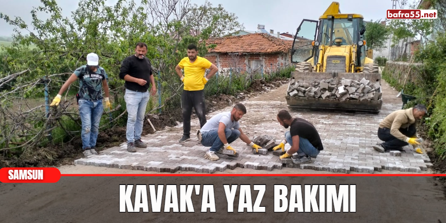 Kavak'a yaz bakımı