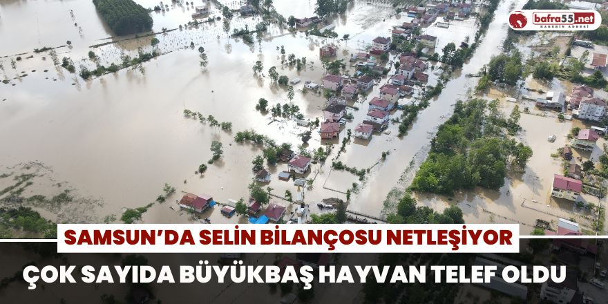 Samsun’da selin bilançosu netleşiyor