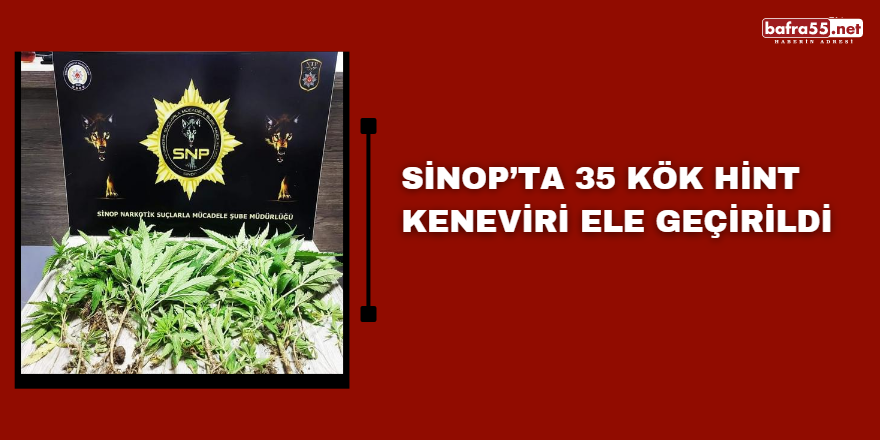 Sinop’ta 35 kök Hint keneviri ele geçirildi