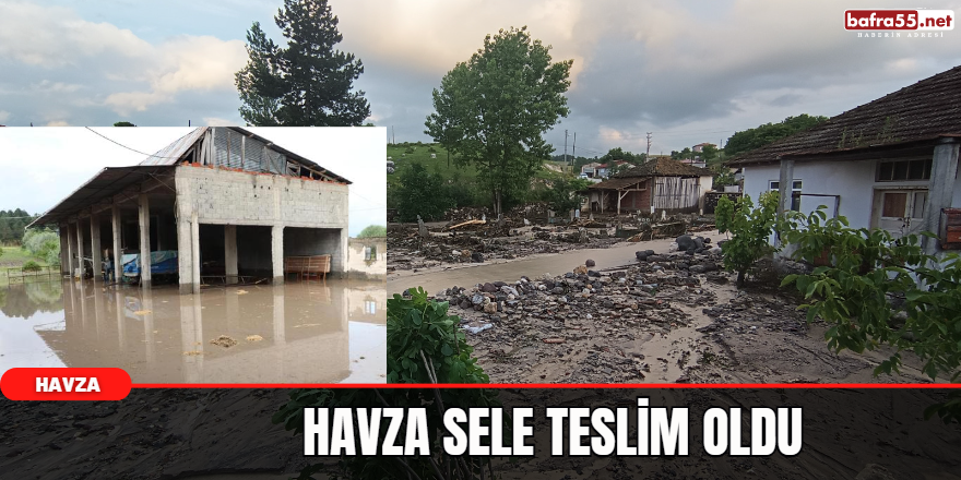 Havza Sele Teslim Oldu