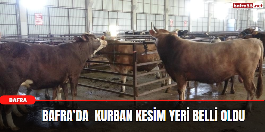 Bafra’da  Kurban Kesim Yeri Belli Oldu