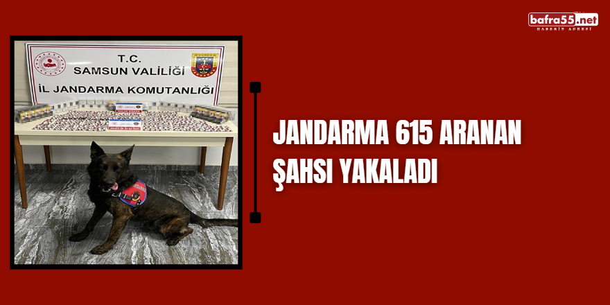 Jandarma 615 aranan şahsı yakaladı