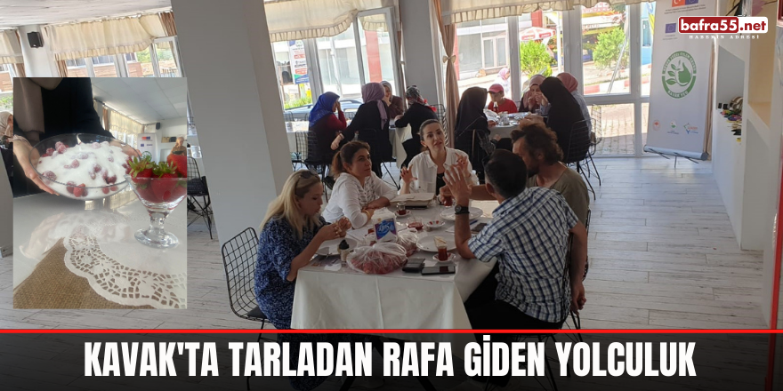 Kavak'ta tarladan rafa giden yolculuk