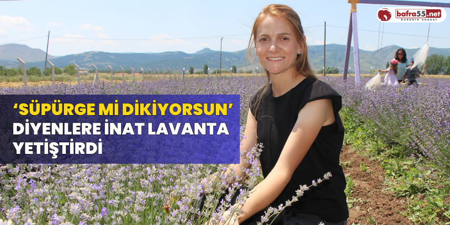 ‘Süpürge mi dikiyorsun?’ diyenlere inat lavanta yetiştirdi