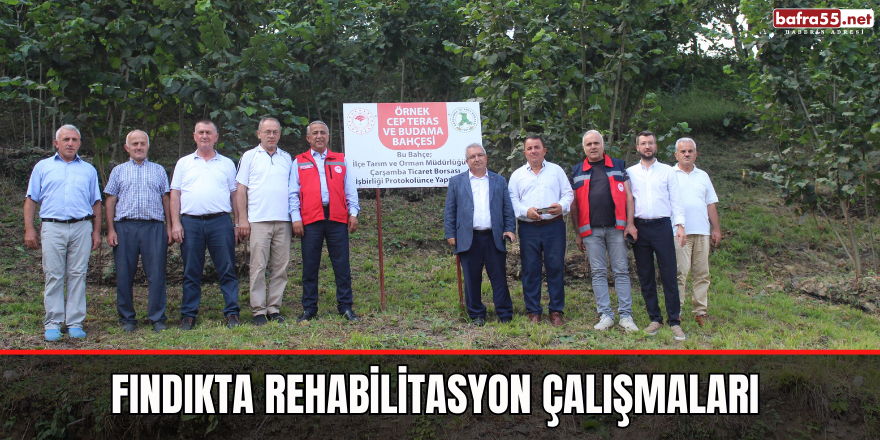 Fındıkta Rehabilitasyon Çalışmaları