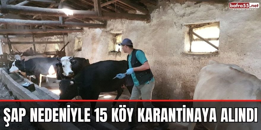 Şap nedeniyle 15 köy karantinaya alındı