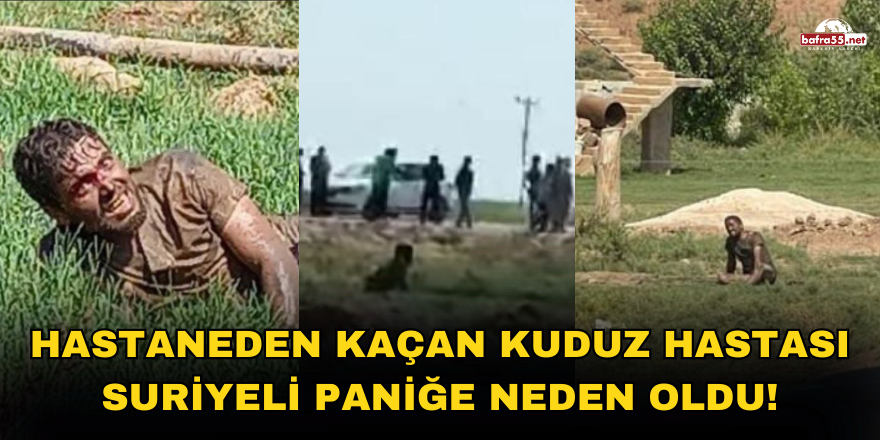 Hastaneden Kaçan Kuduz Hastası Suriyeli Paniğe Neden Oldu