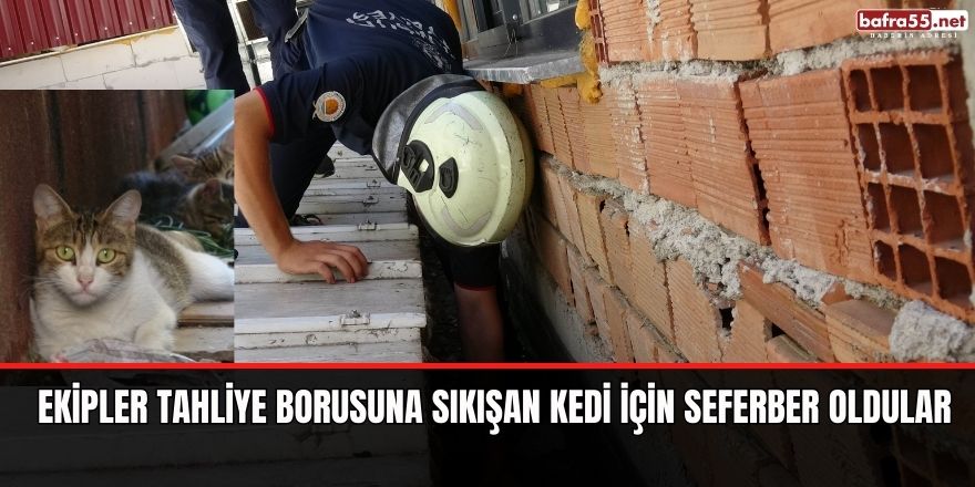 Ekipler tahliye borusuna sıkışan kedi için seferber oldular