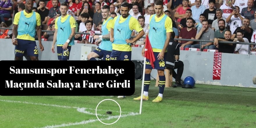 Samsunspor Fenerbahçe Maçında Sahaya Fare Girdi