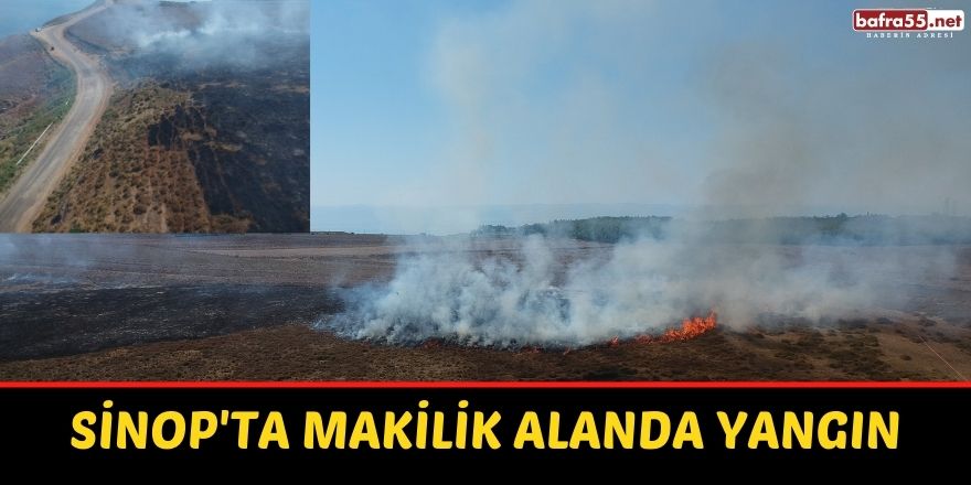 Sinop'ta Makilik Alanda Yangın