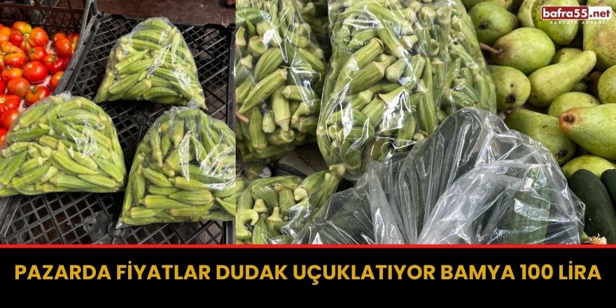 Pazarda Fiyatlar Dudak Uçuklatıyor Bamya 100 Lira