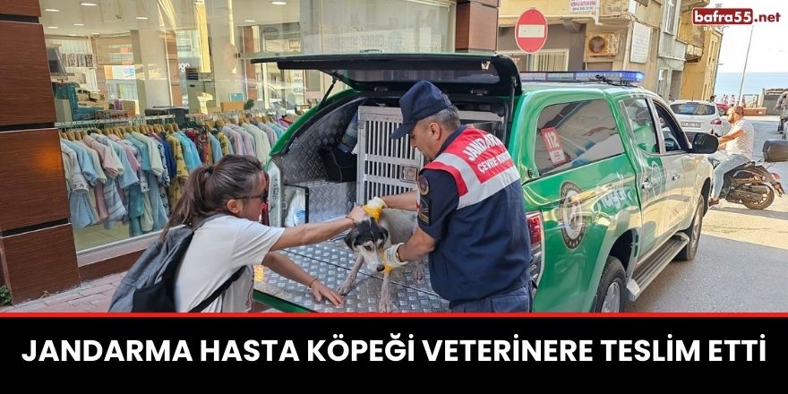 Jandarma hasta köpeği veterinere teslim etti