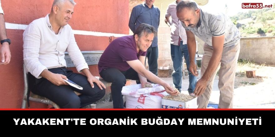 Yakakent'te Organik buğday memnuniyeti