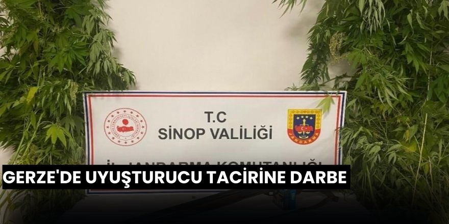 Gerze'de uyuşturucu tacirine darbe