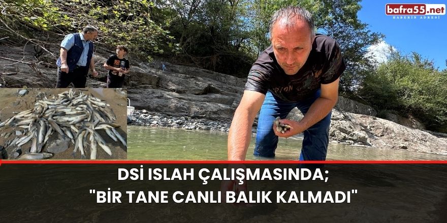 DSİ ıslah çalışmasında;"Bir tane canlı balık kalmadı"