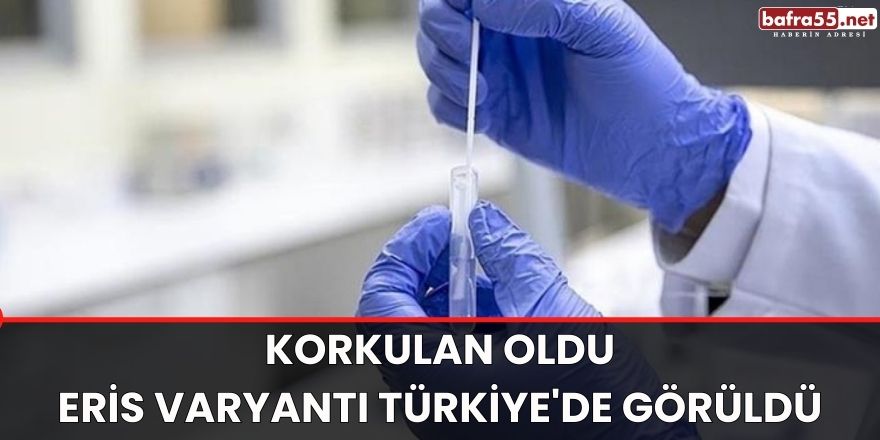 Korkulan oldu! Eris varyantı Türkiye'de