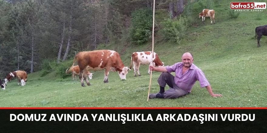 Domuz avında yanlışlıkla arkadaşını vurdu