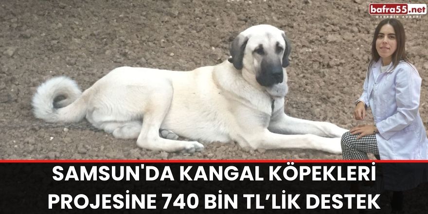 Samsun'da Kangal köpekleri projesine 740 bin TL’lik destek