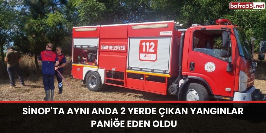 Sinop'ta aynı anda 2 yerde çıkan yangınlar paniğe eden oldu